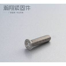 不銹鋼防盜螺絲、十字防盜螺絲