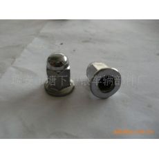非標(biāo)蓋型螺母，蓋型螺母，螺母